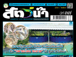 ปก นิตยสาร สัตว์น้ำ ฉบับ 433 (กันยายน 2568)