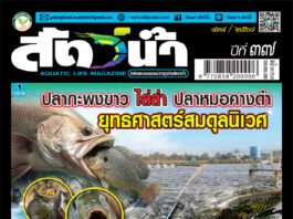 ปก นิตยสาร สัตว์น้ำ ฉบับ 434 (ตุลาคม 2568)