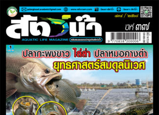 ปก นิตยสาร สัตว์น้ำ ฉบับ 434 (ตุลาคม 2568)