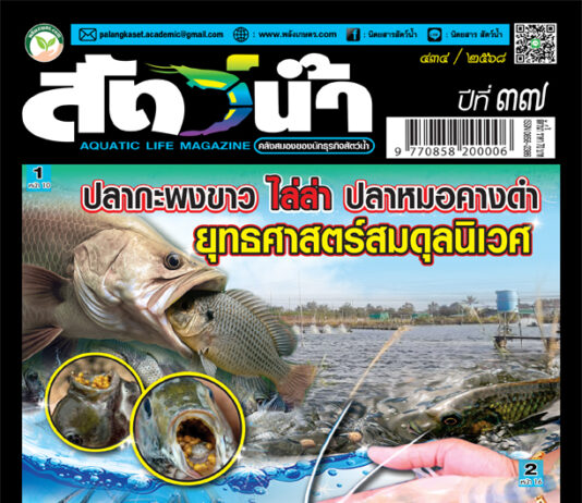 ปก นิตยสาร สัตว์น้ำ ฉบับ 434 (ตุลาคม 2568)