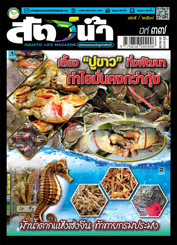 ปก นิตยสาร สัตว์น้ำ ฉบับ 435 (พฤศจิกายน 2568)
