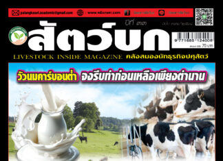 นิตยสารสัตว์บก ฉบับ 391 ปก นิตยสาร สัตว์บก ฉบับ 391 (พฤศจิกายน 2568)