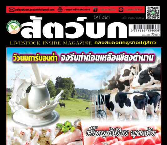 ปก นิตยสาร สัตว์บก ฉบับ 391 (พฤศจิกายน 2568)